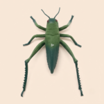 Insect World Simulation Grasshopper Model Toy