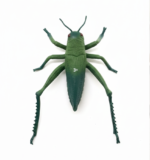 Insect World Simulation Grasshopper Model Toy