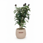 Artificial ornamental pepper plant in ceramic pot