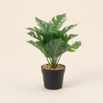 Small Artificial Monstera Deliciosa in Ceramic Pot