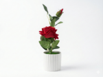 Artificial  Rose in White Ribbed Ceramic Pot