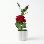 Artificial  Rose in White Ribbed Ceramic Pot