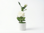Artificial  Rose in White Ribbed Ceramic Pot - Image 3