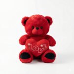 Red Plush Teddy Bear with "LOVE" Floral Embroidered Heart 50 cm