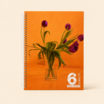 6 Subject Spiral Notebook 160 sheets دفتر كارو
