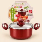 Non-Stick Casserole with Lid – GeBe Perfect 20 cm
